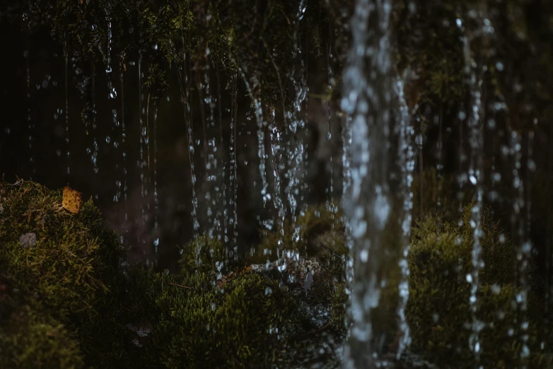 a close up s of water coming from a well