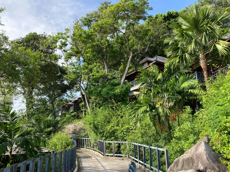 a staircase leads to an outdoor area with trees