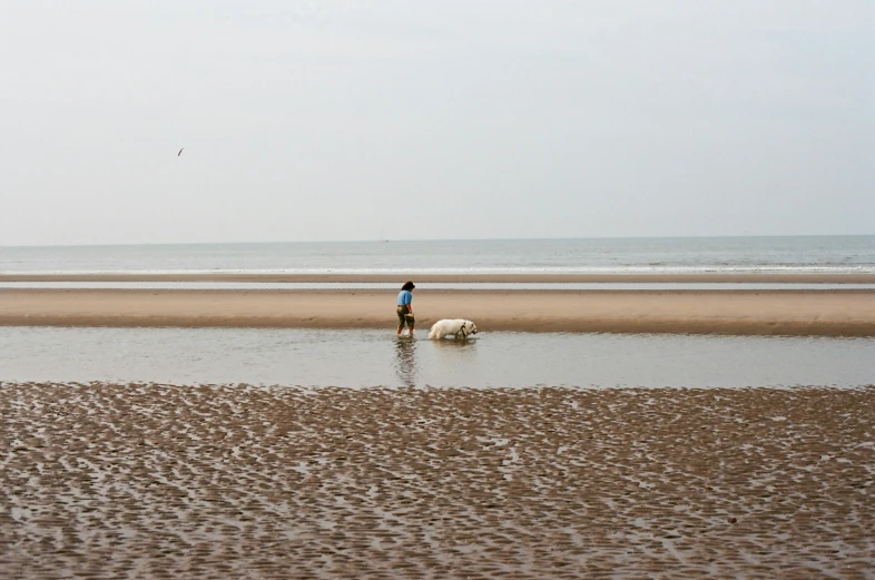 a man riding a sheep across a beach