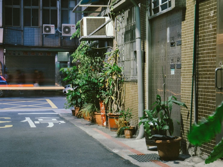 a very narrow street and some potted plants next to it