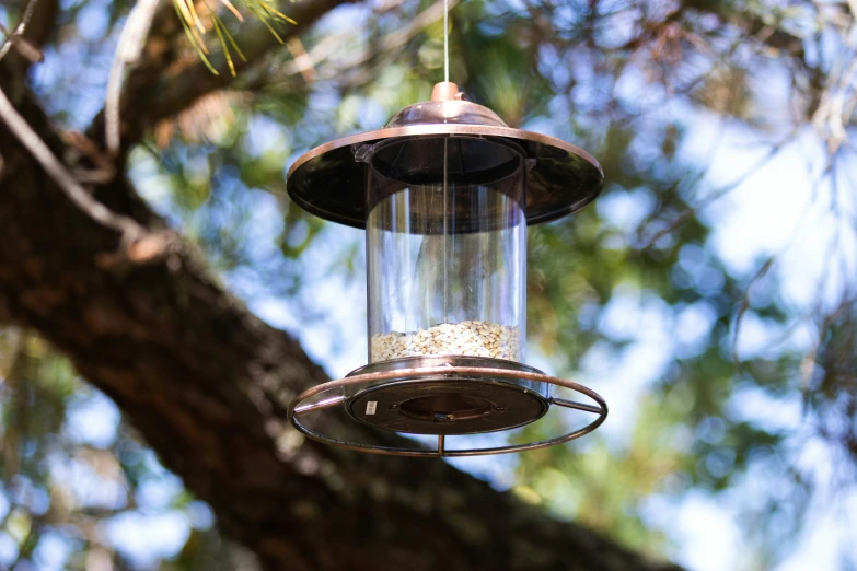 a bird feeder hanging from a tree nch