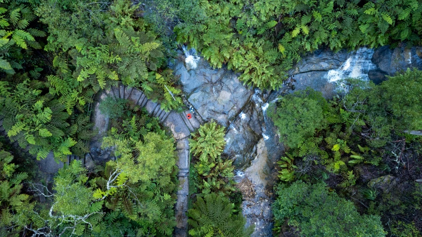 aerial view of a group of trees and rocks with a man standing on a walkway between them