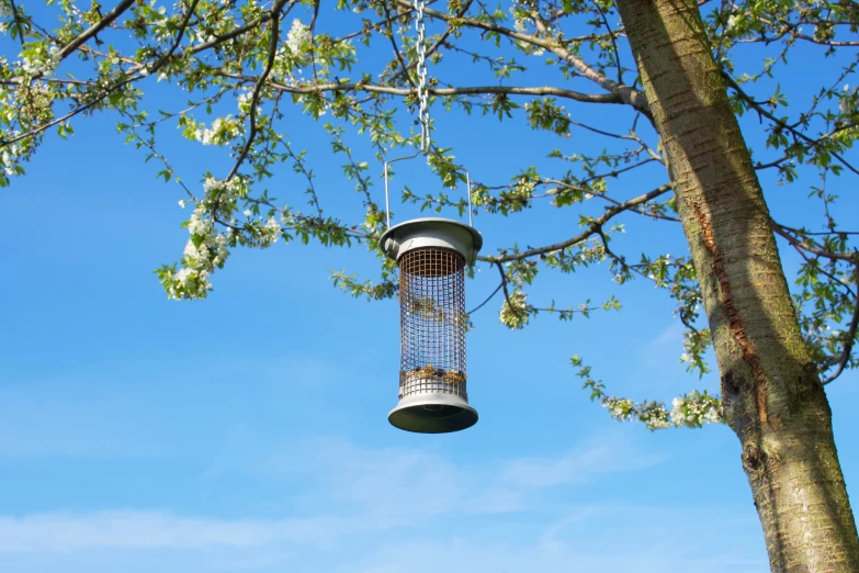 a bird feeder hanging from a tree on a sunny day