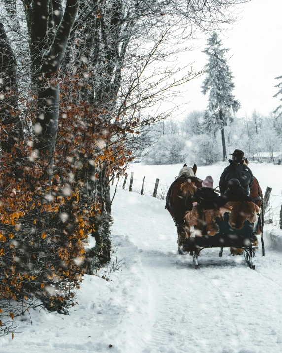 the horses are pulling the sleigh up the hill