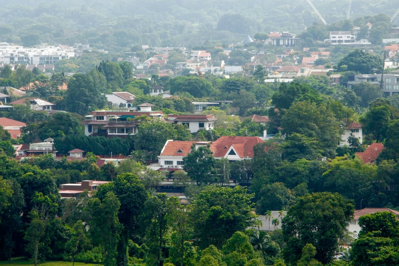 many houses nestled in a forested area and trees