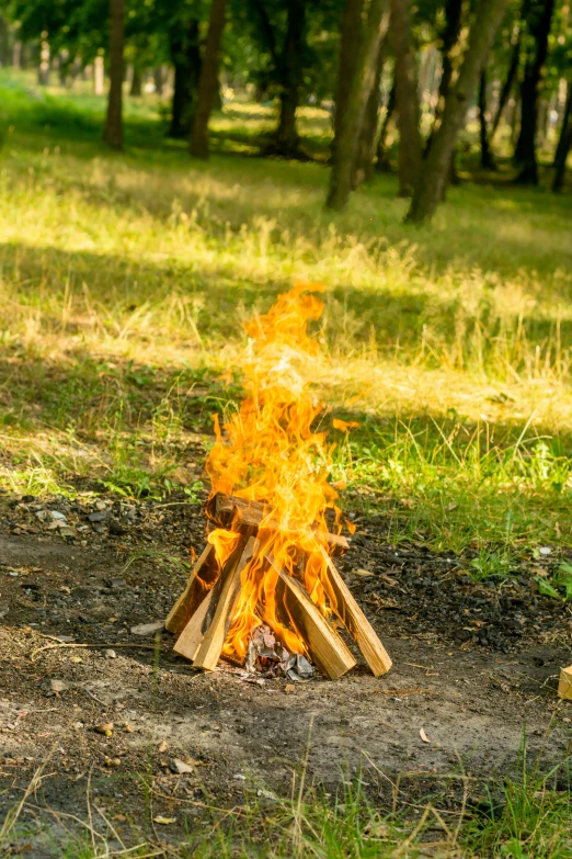 a fire is in the middle of a field with logs