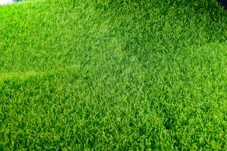 a grassy surface with an object sitting in the background