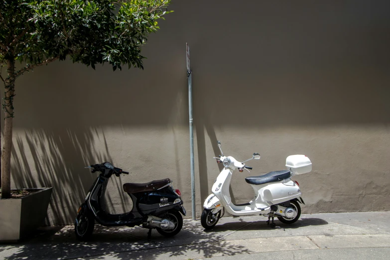 a scooter parked next to a plant on the street