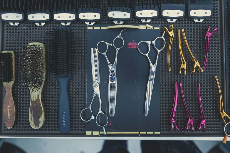 a group of assorted hair clips and combs