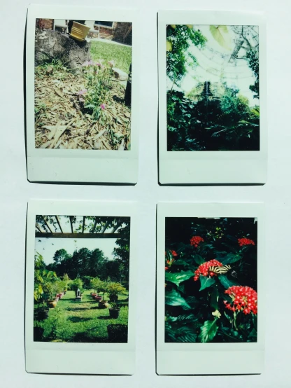 four polaroids of the same po, each with different pictures