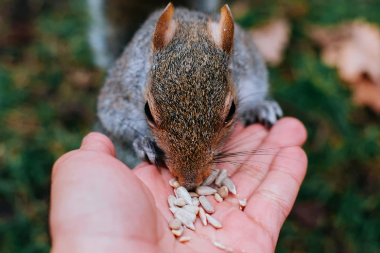 a person's hand holds soing full of food