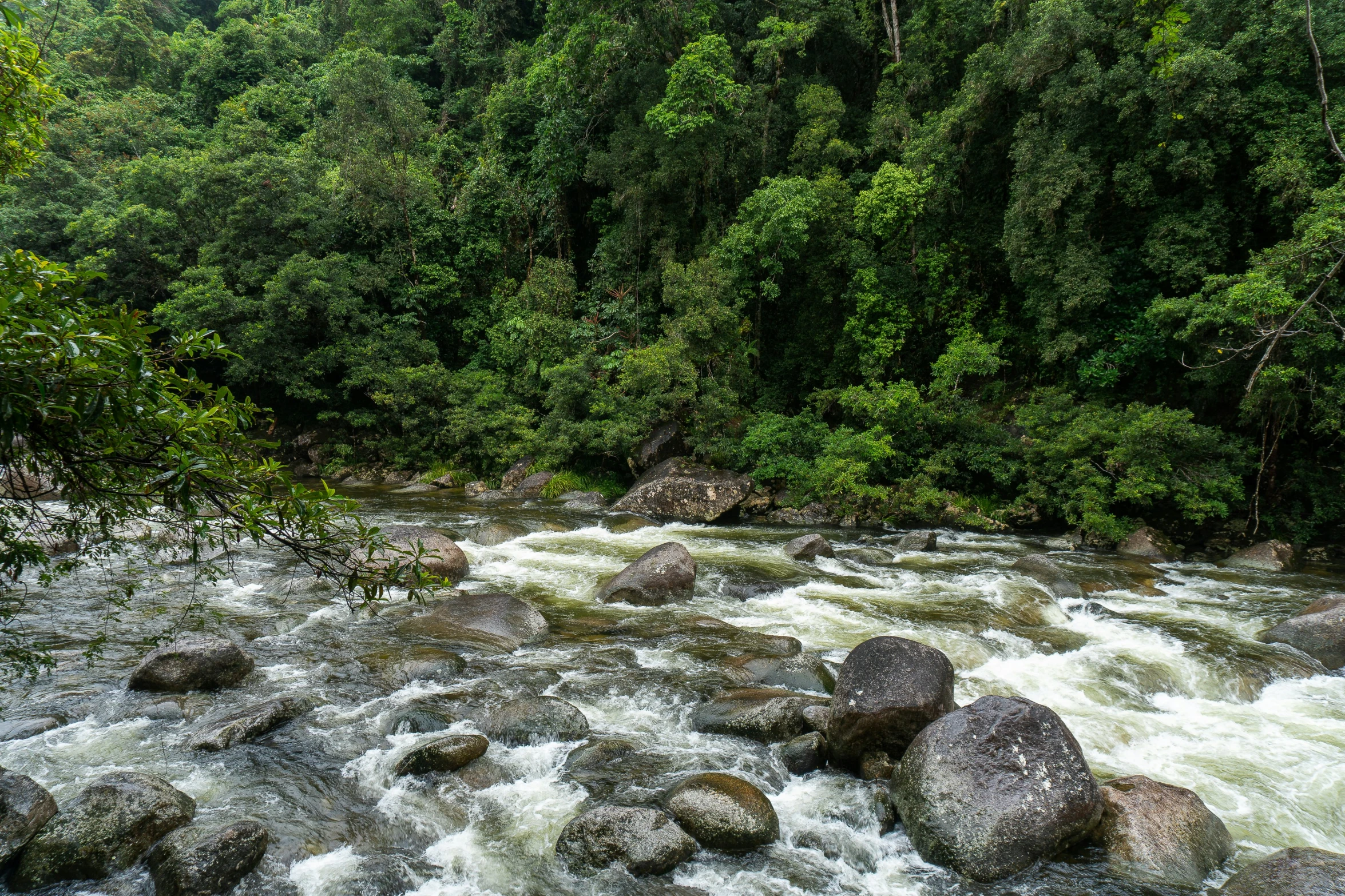 there is water rushing between two rocky streams