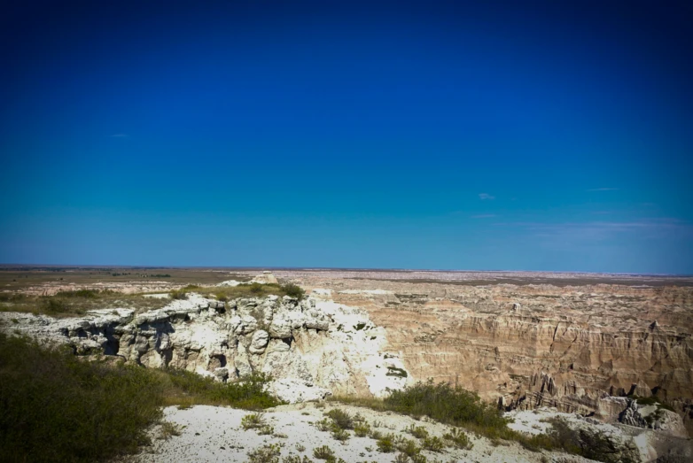 a wide open desert area with sp plants