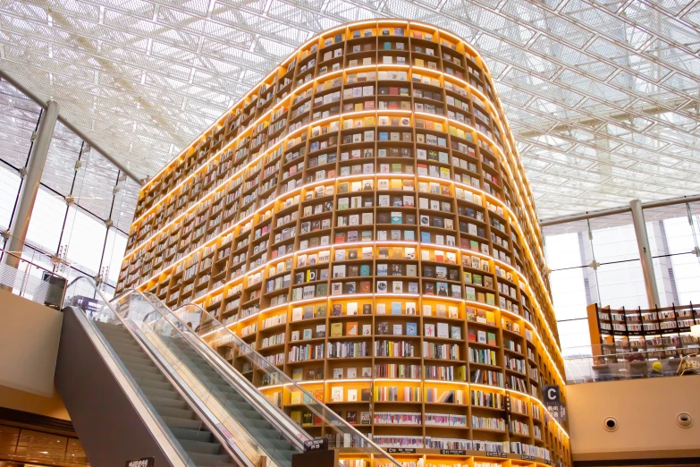 the building has a lot of books all over it