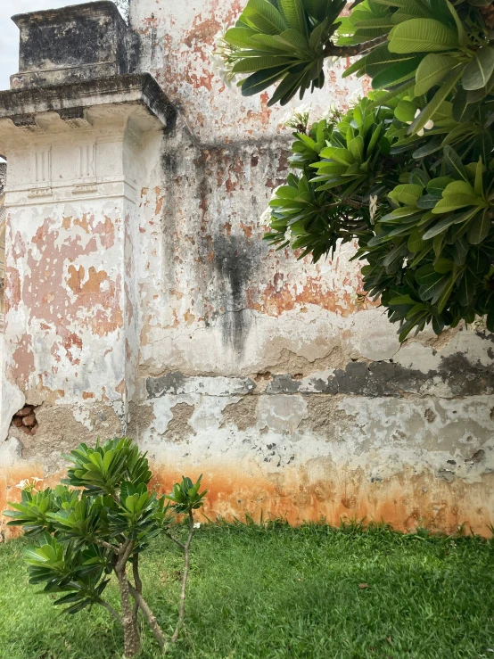 an old, grungy building is sitting on the grass