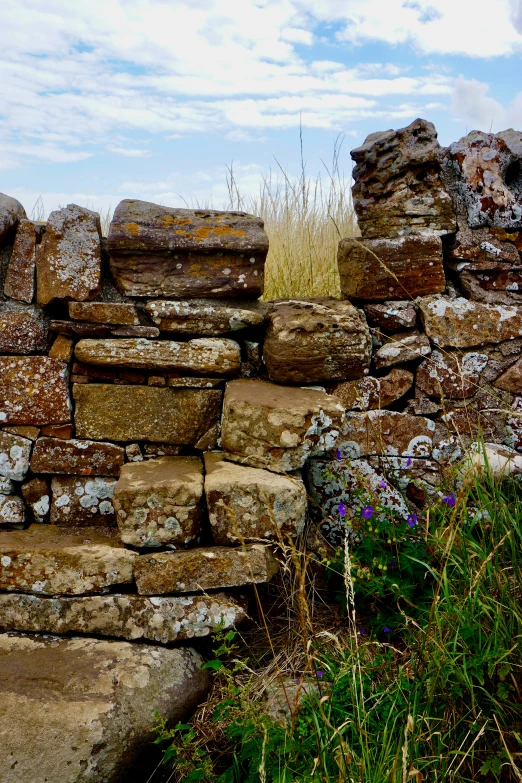 a stone structure with flowers in the foreground and a field with tall grasses