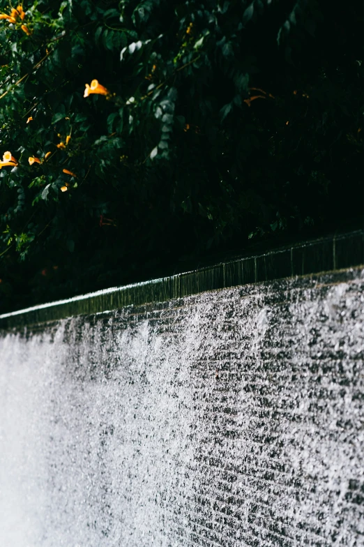 a bird perched on top of a water fountain