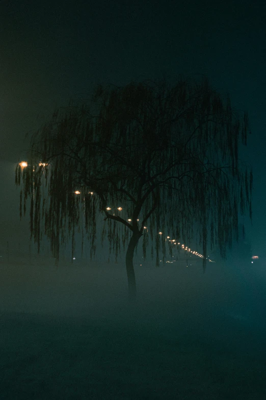 an empty bench at night on a foggy dark evening