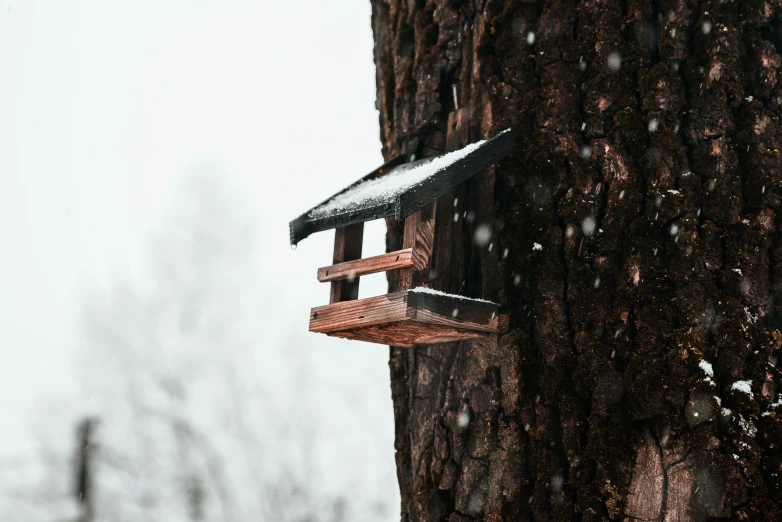 a birdhouse built on a tree during winter