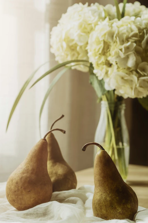 two pears on a towel in front of a vase with flowers