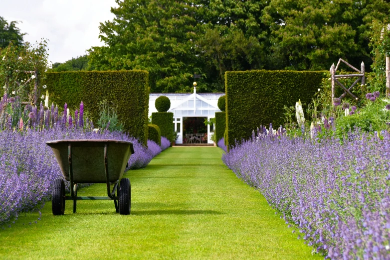 a cart is sitting on the edge of a garden