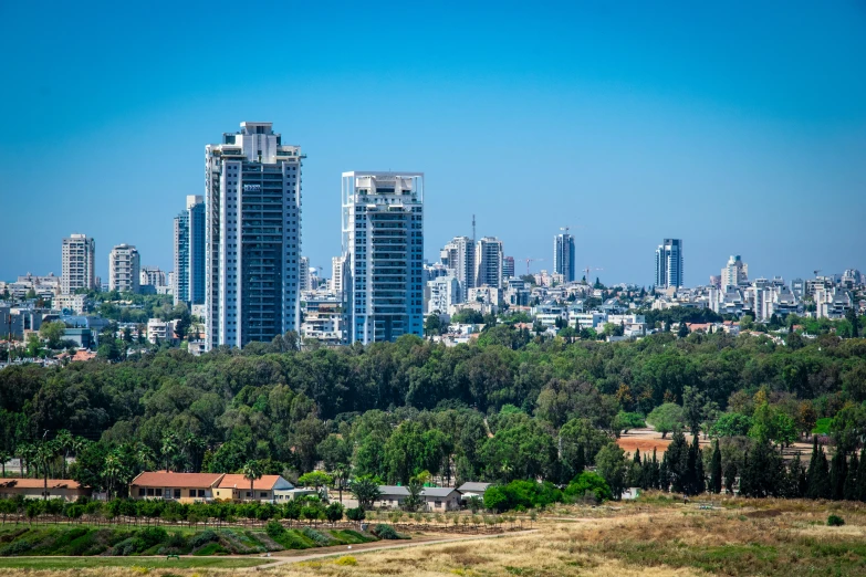 a large, very tall city in the middle of trees