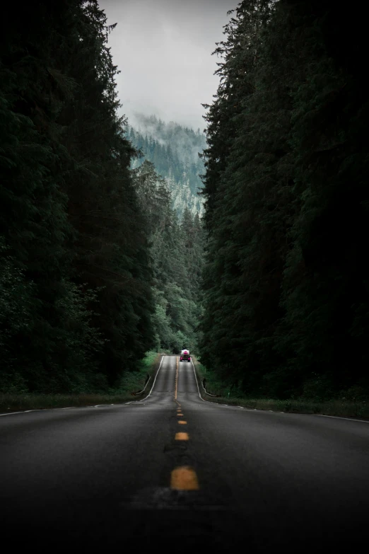 the front of a truck on a road with tall evergreen trees