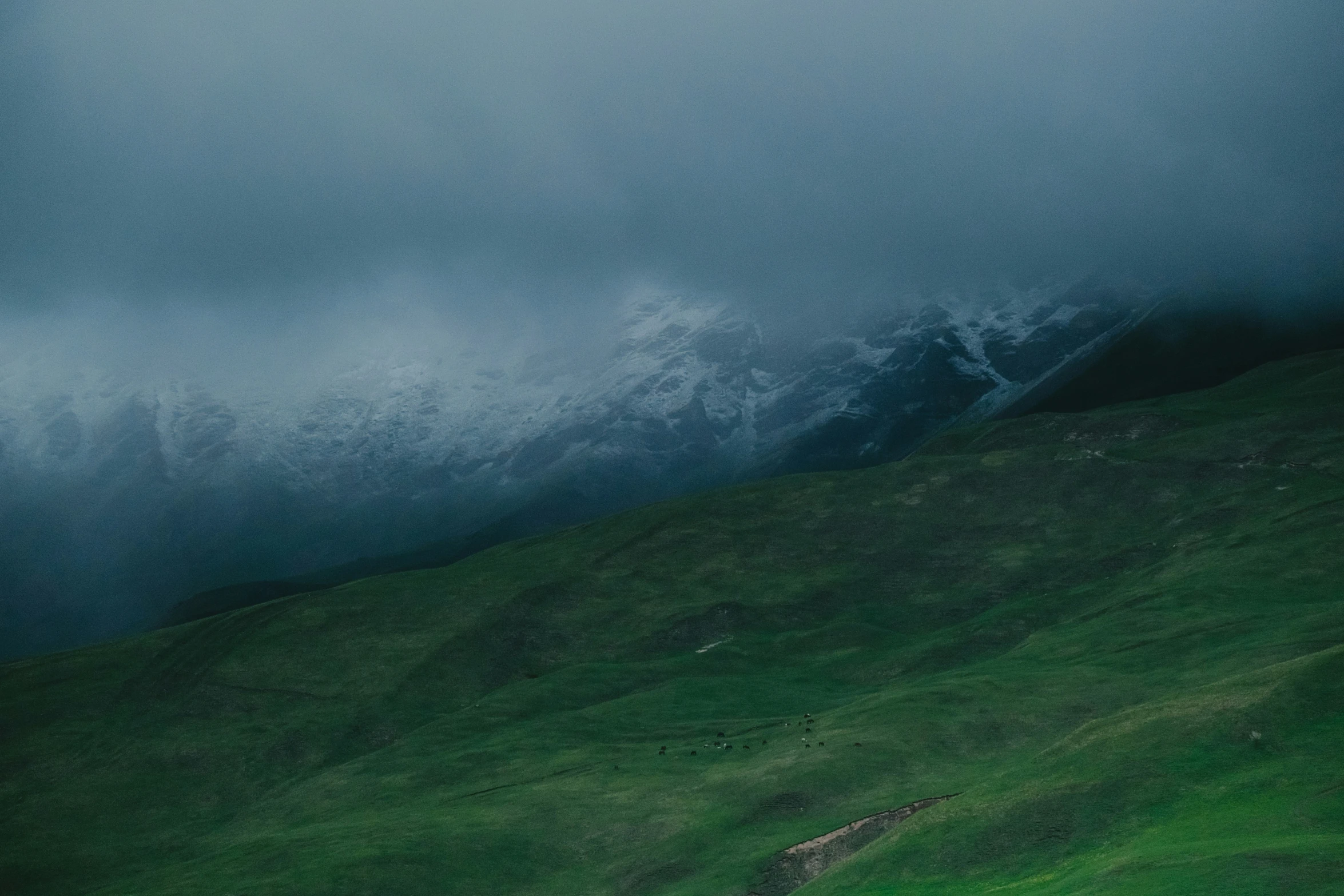 dark clouds and mountains with green grass