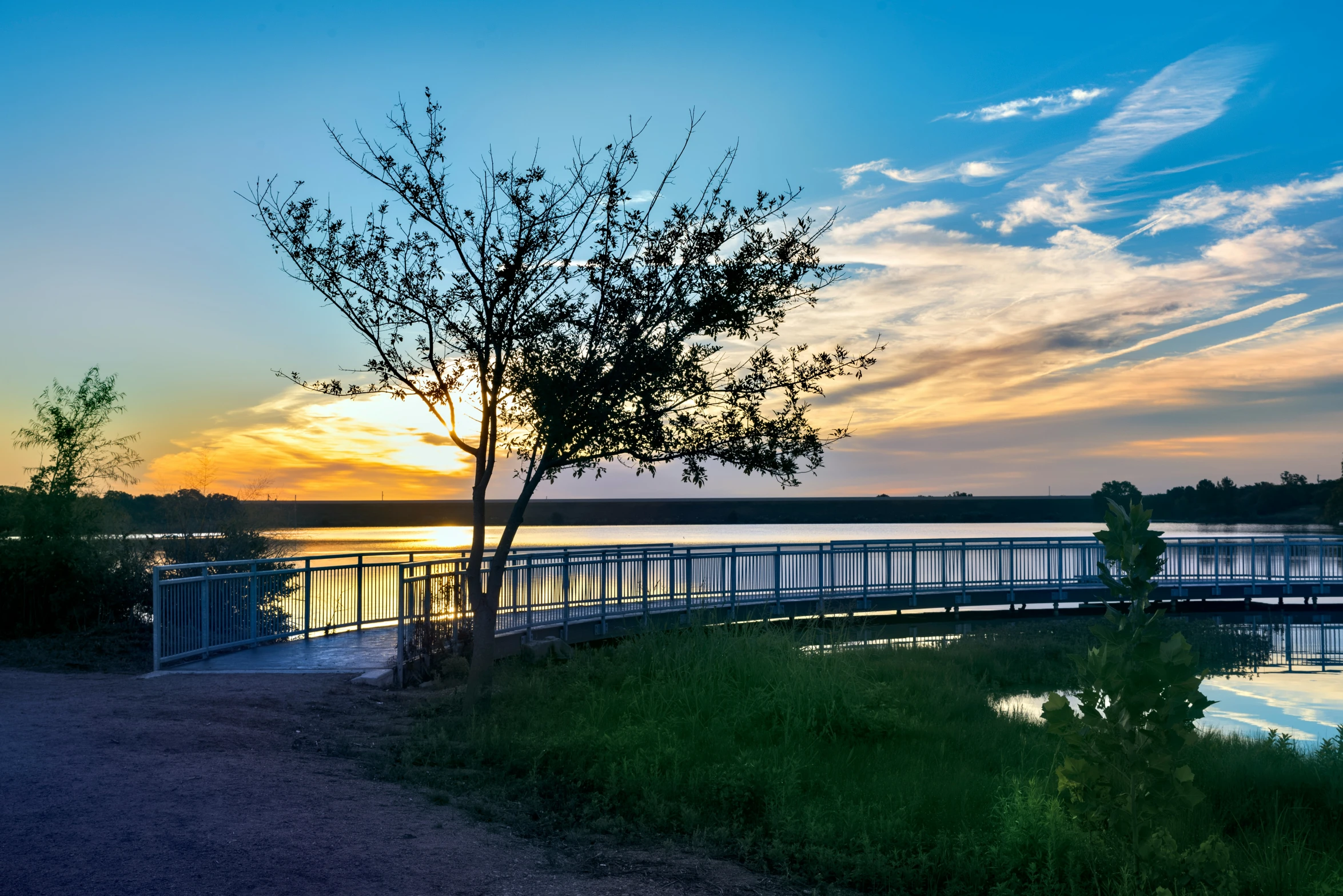 the sun sets over a lake and a small tree on the shore