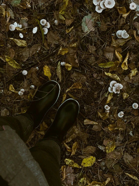 a pair of feet standing on a dirty leaf covered floor