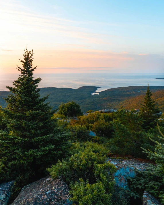 an image of the mountains with trees near by