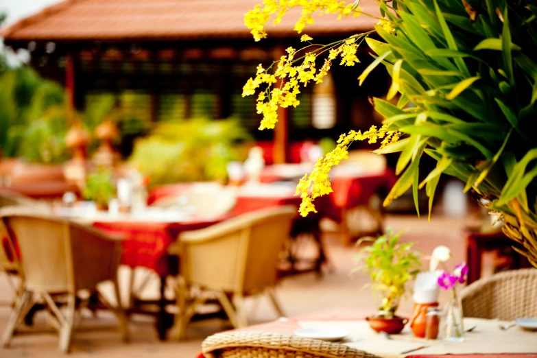 a view of outdoor tables and chairs in a garden