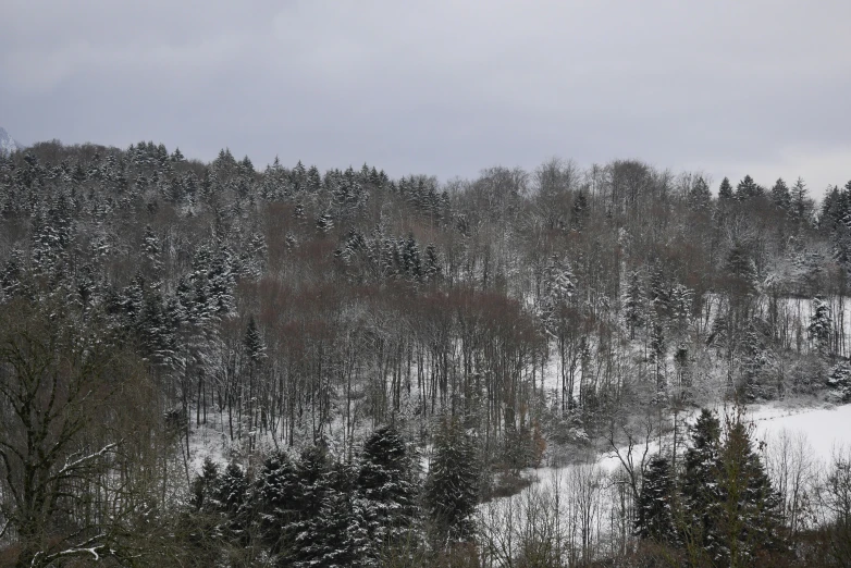 snowy mountain with trees and a ski lodge in the distance