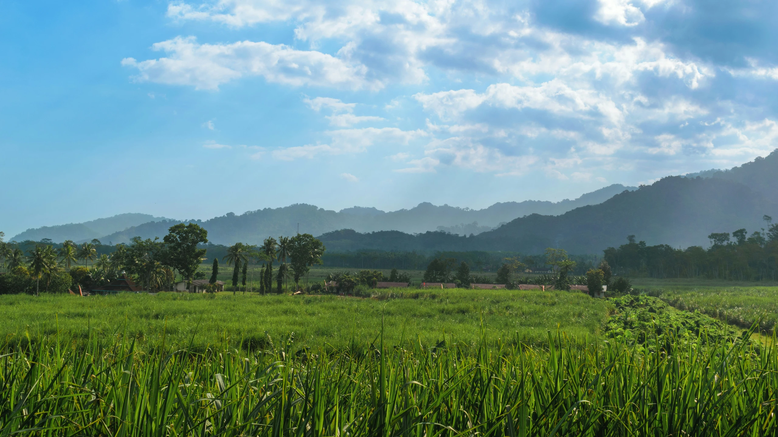 an empty field near some green grass and trees