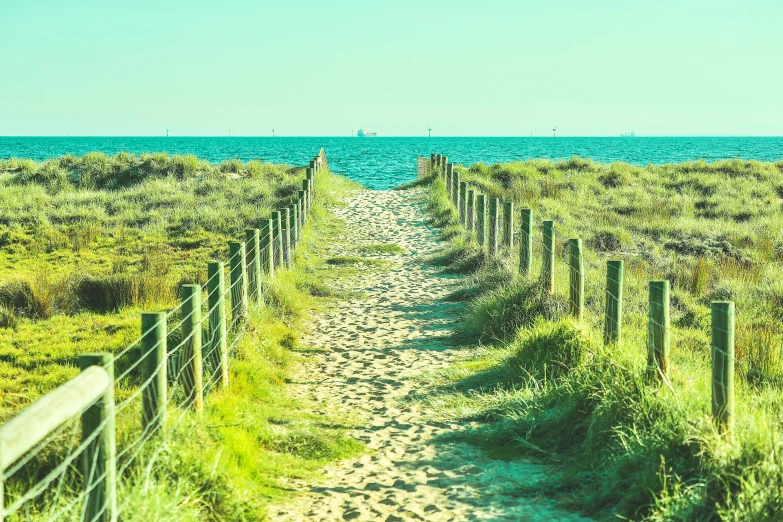 a path in the sand to the beach