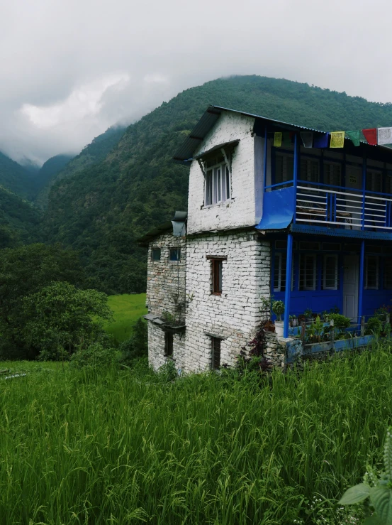 an abandoned building in the middle of green grass