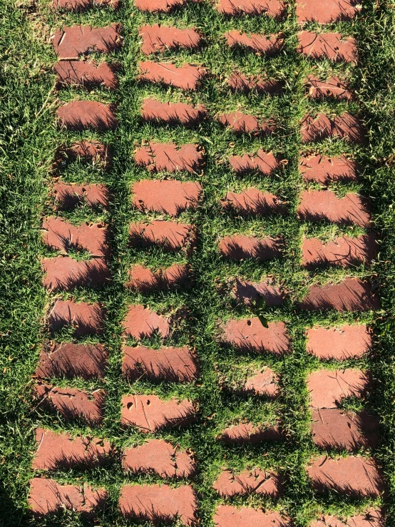 red brick walk imprint on grass near a sidewalk