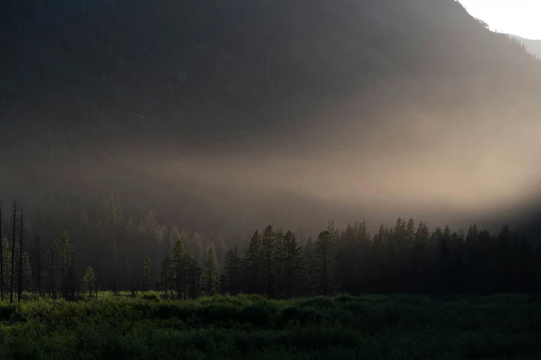 fog rising in the mountains above a grassy area