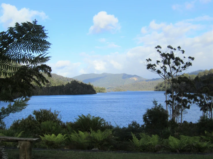 view of a lake and mountains from an island near a wooded area
