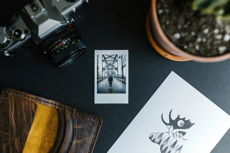 an open camera, a card and a potted plant sit on a table