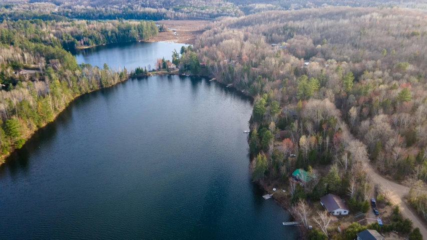 an aerial view of trees, water and a lake