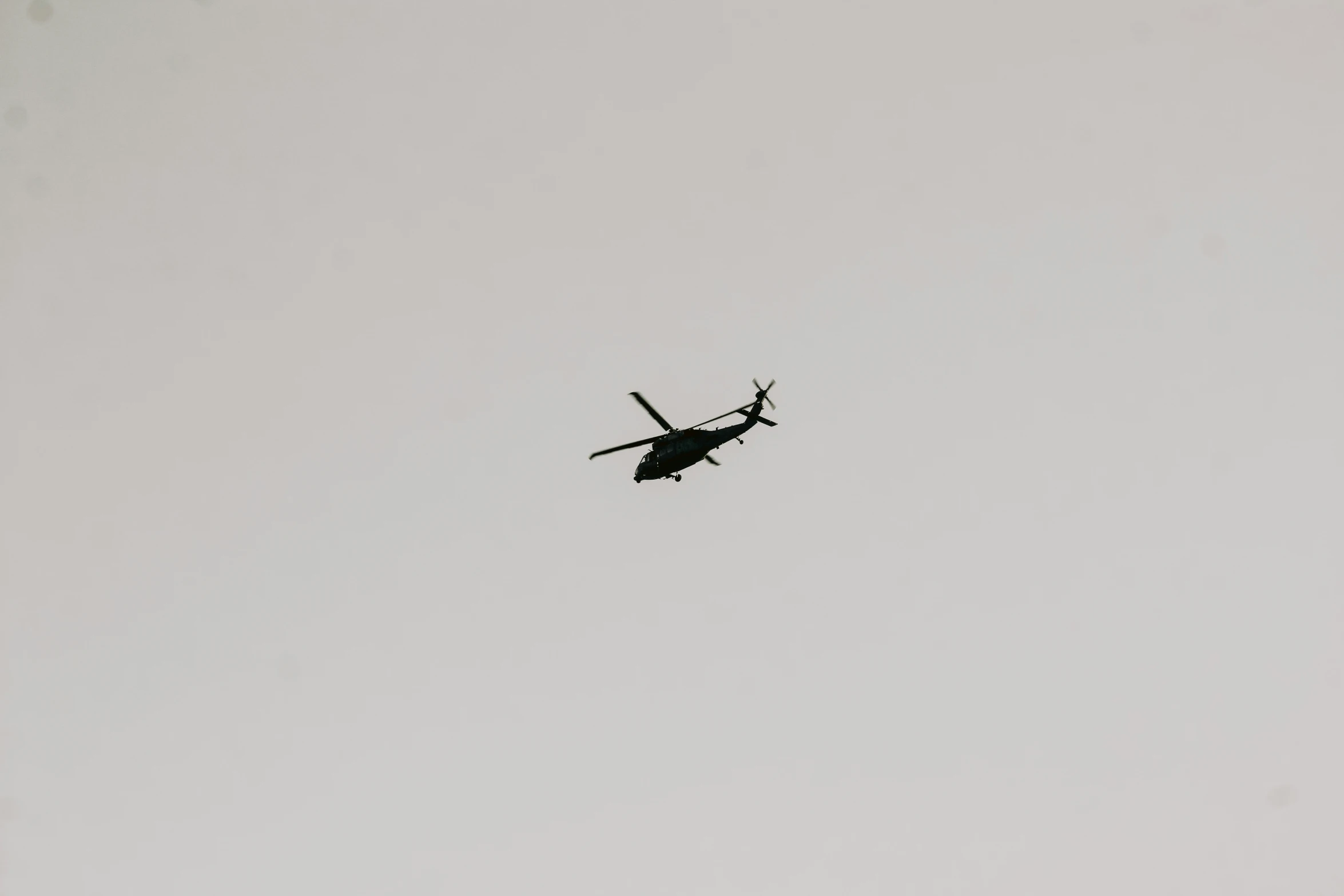 a bird flying through a white sky with no clouds