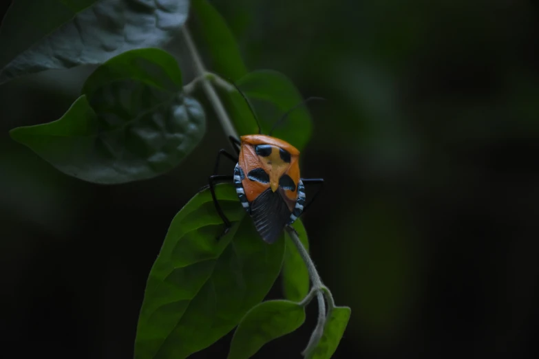 a lady bug crawling on a leafy green plant