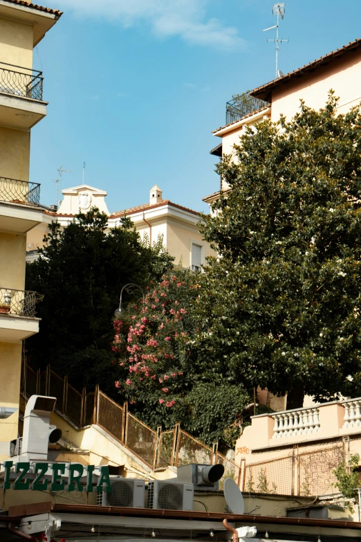 a building with a tree in front of it