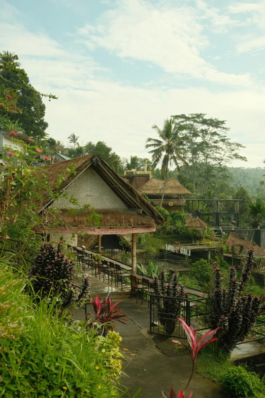 a house that has some plants on the side