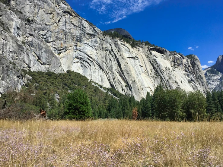 grassy field in front of large mountains and sky