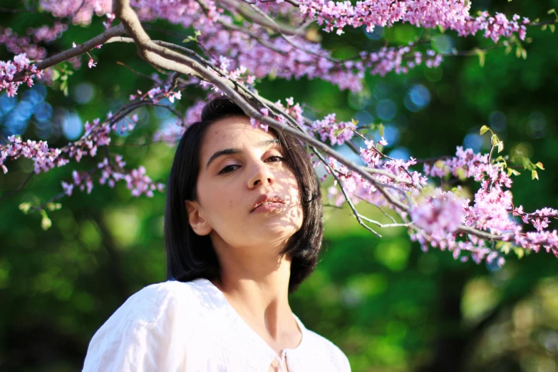 woman looking up in front of a tree filled with purple flowers