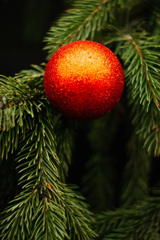 red ball hanging from a green christmas tree