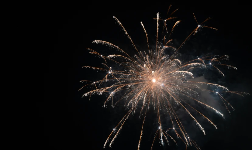 a large firework displays its fireworks at night