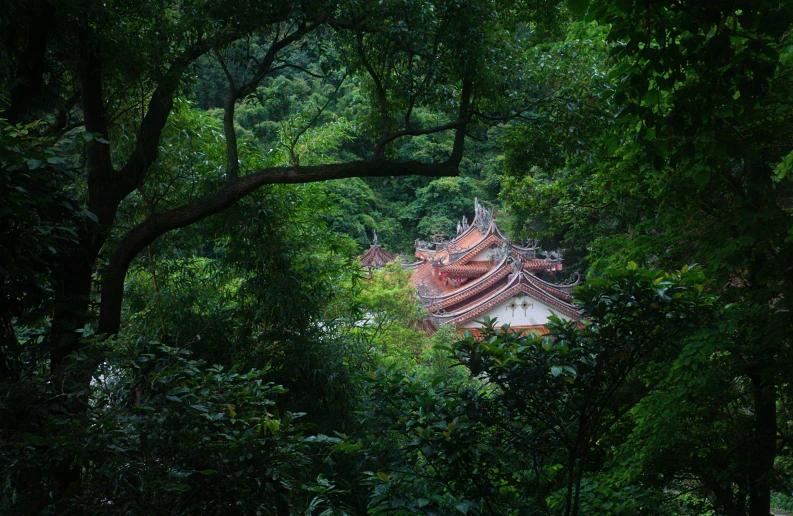 a building in the middle of a jungle with lots of green